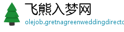 飞熊入梦网